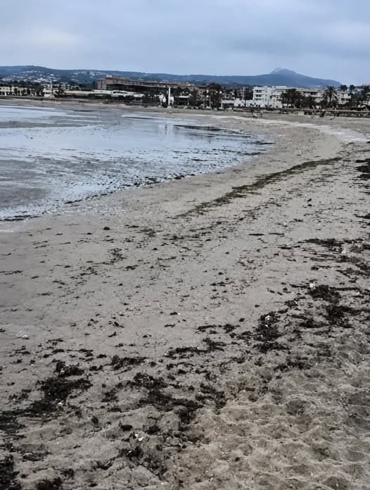 MARINA ALTA | Un 'meteotsunami' provoca cambios bruscos en el nivel del mar en playas de Xàbia, Gandia o Cullera