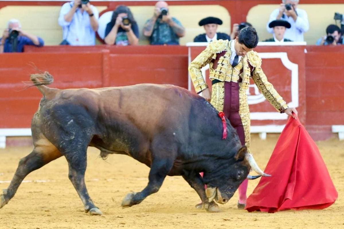 Y Pablo Aguado fue el suceso del día después en El Puerto de Santa María