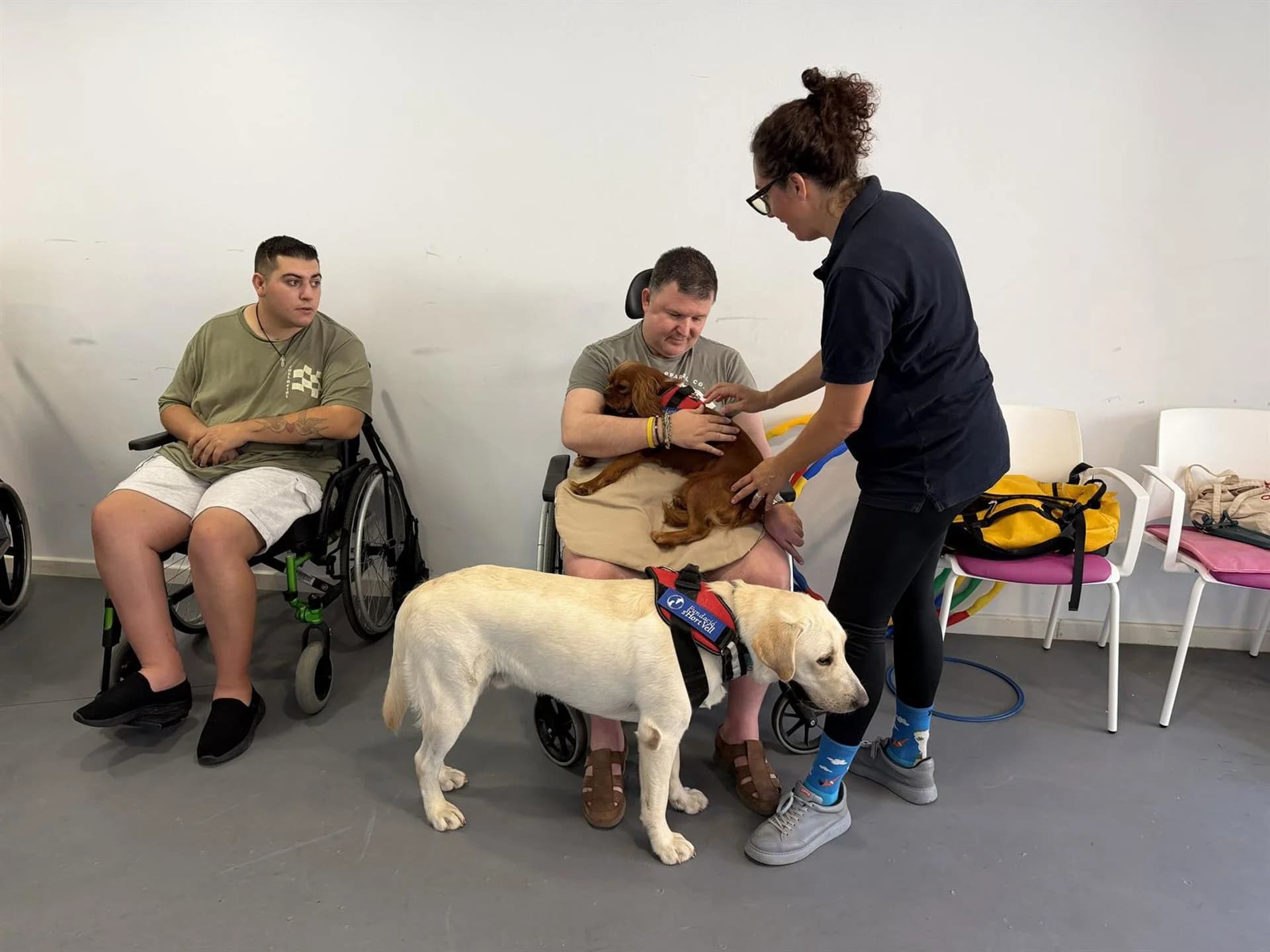 Más de 450 usuarios de las residencias de la Fundación de Dependencia se benefician de la terapia asistida con animales