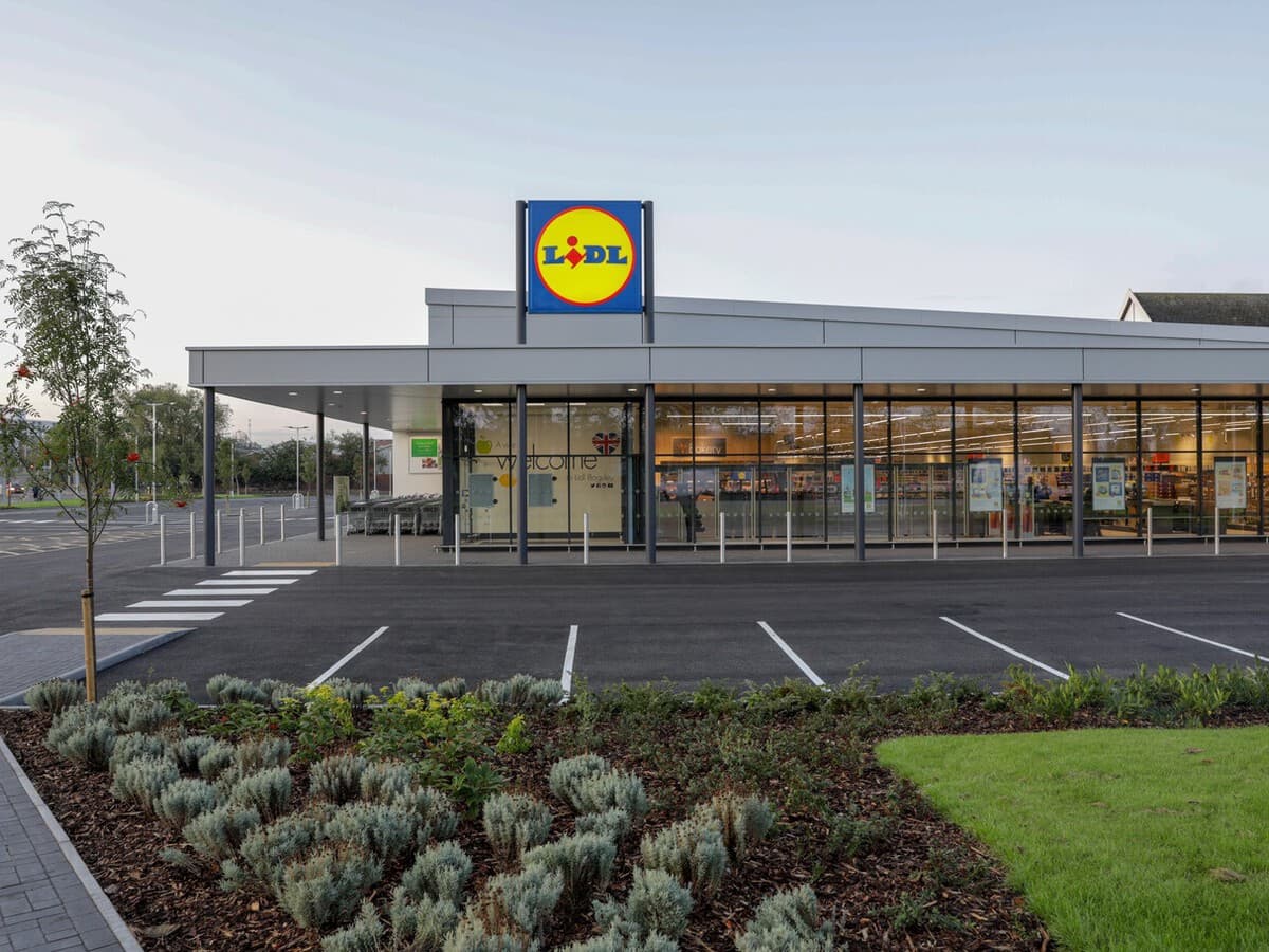 El viernes, 28 de agosto, llegan a Lidl las zapatillas tipo Skechers cómodas y baratas para caminar a diario