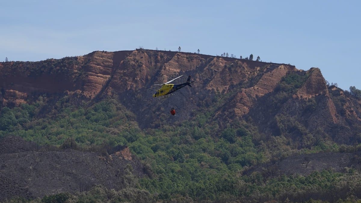 El incendio de Burgohondo se mantiene en nivel 2 mientras los de Veguellina y Fermoselle siguen en nivel 1