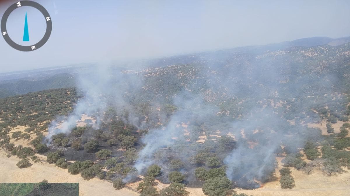 Cuatro aeronaves y medios terrestres combaten un incendio forestal en Almodóvar del Río
