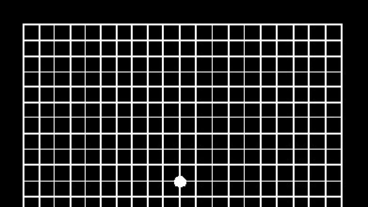 Prueba este test para saber si tu retina está dañada tras el eclipse total