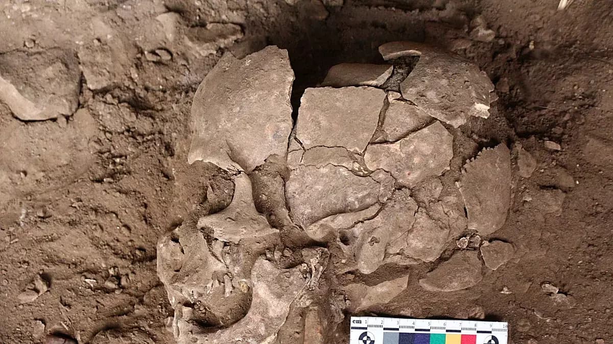 Hallazgo histórico: descubren la evidencia más antigua del consumo de drogas