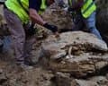 Aparecen los restos de una tortuga de más de 15 millones de años en unas obras del Ayuntamiento