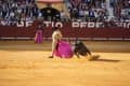 Clara Lago, Carlos Bardem o Rosa Montero piden a Sánchez libertad de conciencia para diputados del PSOE sobre los toros