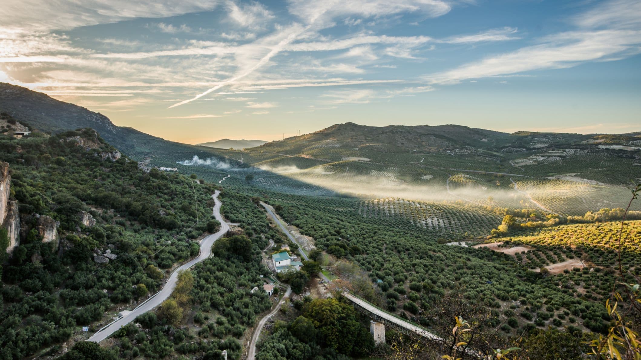 El campo se mueve: de refugio para el ahorro familiar a objeto de deseo de los fondos de inversión