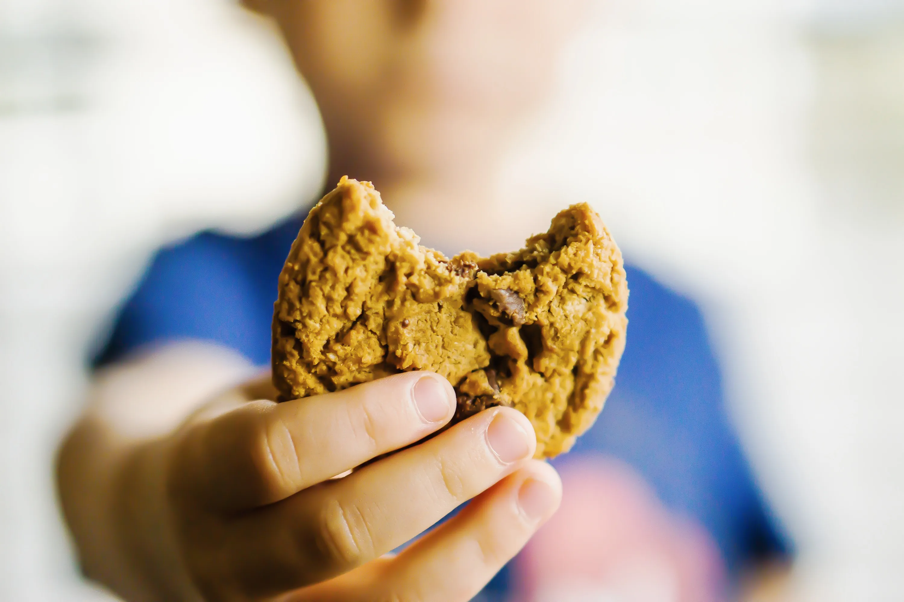 Estos científicos lograron convertir el plástico en galletas