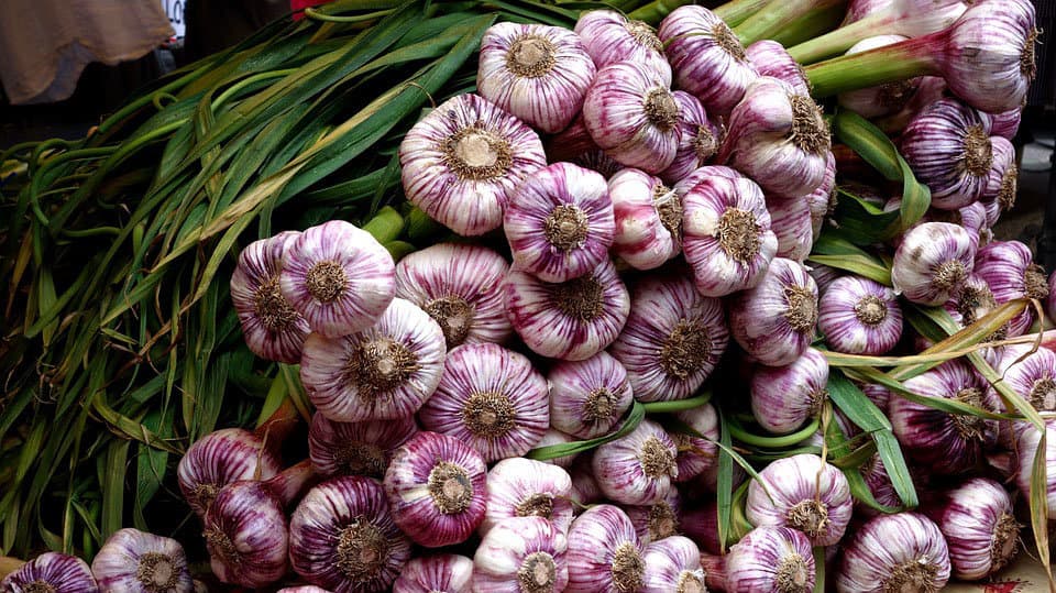 El mercadillo que vuelve a Pamplona con productos ecológicos, ajos de Falces y verduras de temporada