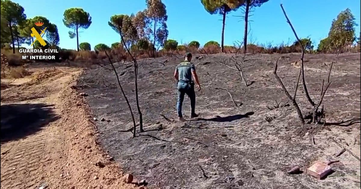 Investigan a una persona por provocar un incendio forestal con una radial en Beas