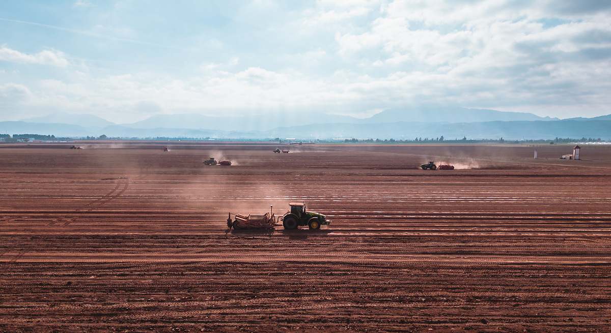 Los créditos bancarios crecen en campo español, pero son insuficientes