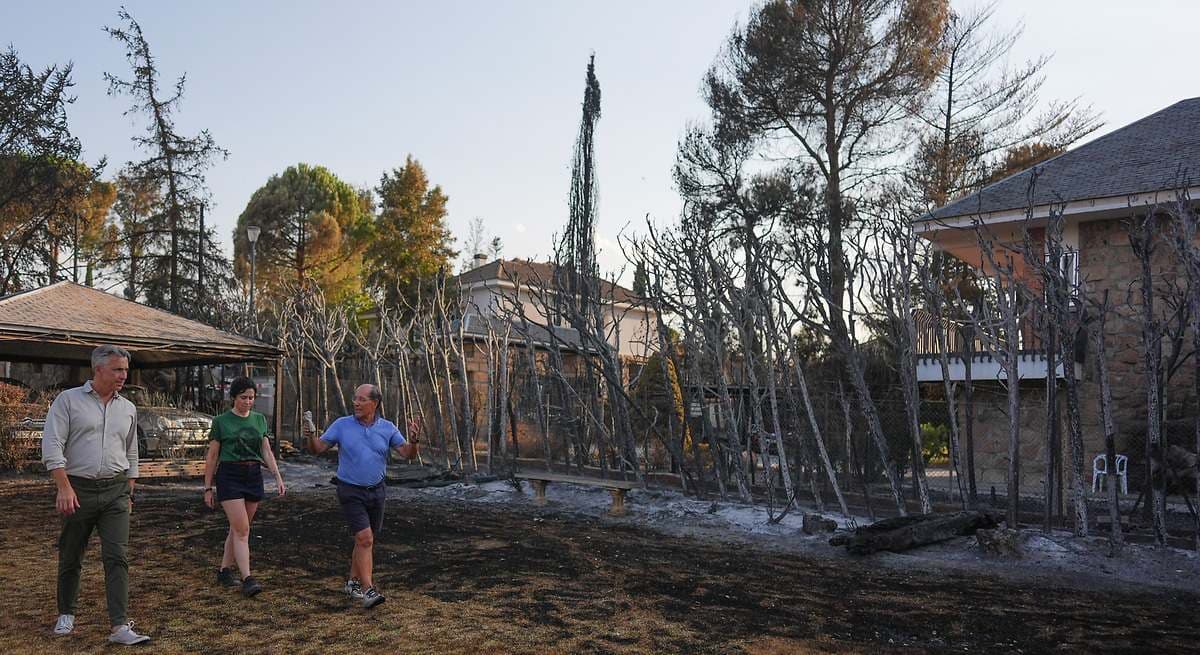 Madrid prohíbe las arizónicas y destina un millón de euros a su retirada para prevenir incendios