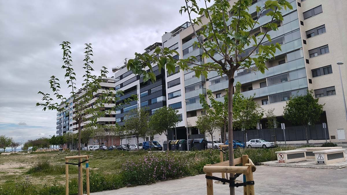 Más de 3.000 árboles cambiarán el paisaje de Zaragoza en los próximos meses