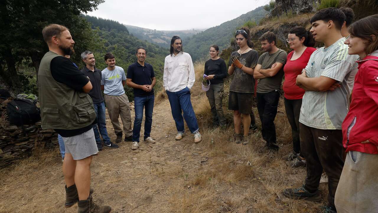 Doce jóvenes voluntarios cooperan en labores arqueológicas en Navia