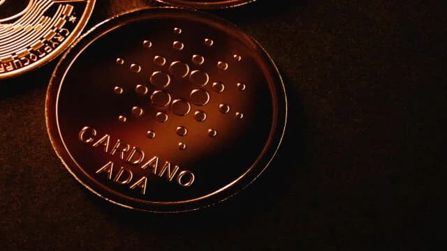 Cardano se enfrentó a un desequilibrio de liquidación del 899%