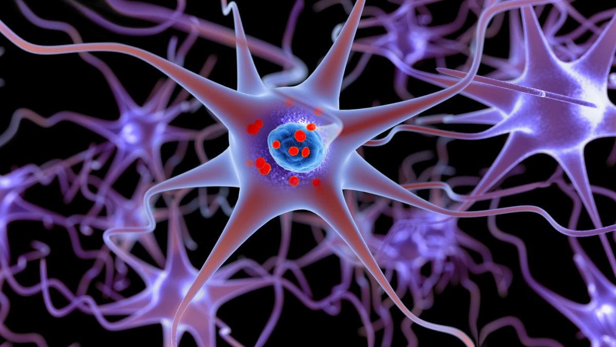 ¿Enseñar a nuestras defensas a proteger el cerebro del párkinson?