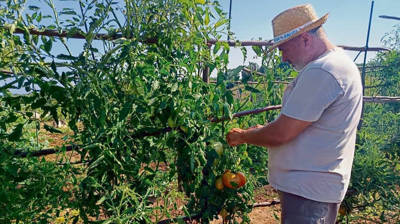 Hortas que alimentan e coidan do territorio