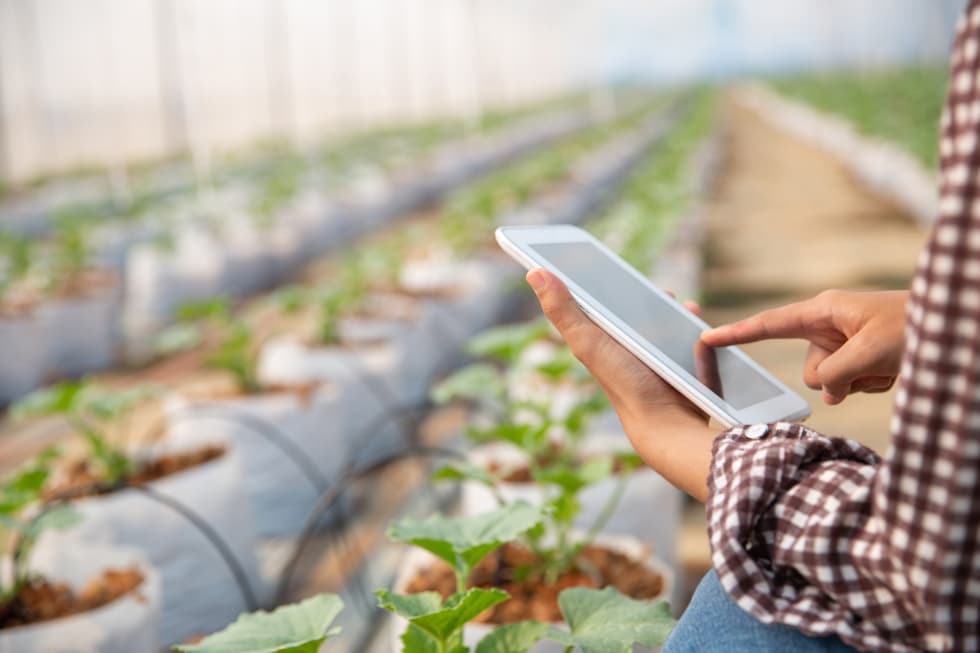 Agricultura concede cerca de 500.000 euros en ayudas para el fomento de la innovación tecnológica en explotaciones colaboradoras