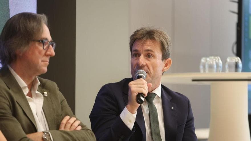 Ibán Molina: «Las redes son la columna vertebral del sistema eléctrico»